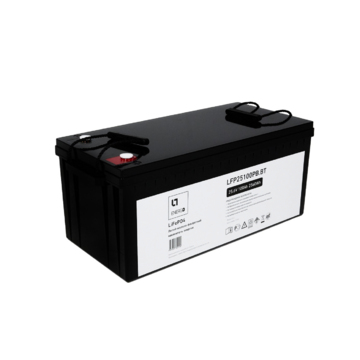 LFP накопитель энергии LTE ESS 25 В/100 Ач/2.56 кВтч, пл.корпус, Bluetooth